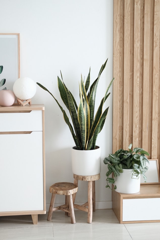 panel nappali ötletek növények